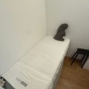 테시토의원 | 합정 테시토의원 내돈내산 스킨부스터