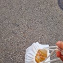 영짬뽕 이미지