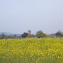 대명문약국 이미지