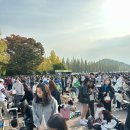 에버랜드 정문주차장 | 에버랜드 오픈런 후기｜정문주차장 사수 성공기 &amp; 스마트줄서기 꿀팁