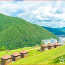 태백목장 이미지