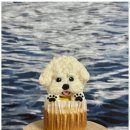 정성스럽개 이미지