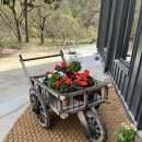 삼랑진커피(sa.m.r.a.n.g.j.i.n. coffee) 이미지