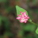 사회복지실천기술론 이미지