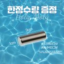 핑크홀리 이미지