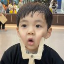 청도 경희대 태권도장 이미지