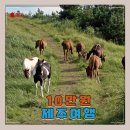 투썸플레이스 화순중앙점 | 10만원으로 제주도 여행? 불가능하다고요? 실제로 가능한 이유와 완벽 가이드