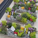 경기도 안성시 원곡보건지소 | 미니정원만들기 안중보건지소 아토피자조모임 외부...후기 기관출강 평택공방 안성공방 안성외부출강...