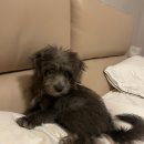 관악연세공감치과의원 이미지