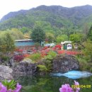 서대산드림리조트 이미지