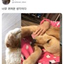 바지생각