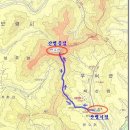 '24년 07월09일 충남 부여 만수산(575m)산행 및 궁남지 연꽃과 무량사 관람 이미지