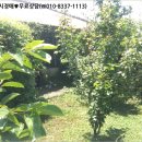 G6645 이미지