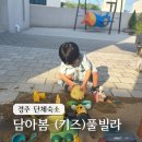 가본봄마트 | 내돈내산 경주 아이들과 가기좋은 단체펜션 담아봄 키즈풀빌라