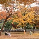 농업기술센타 네이버블로그