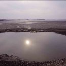 함평주포해수찜 이미지