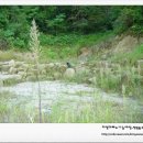 지성토목설계