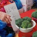 1년중 제일 바쁜한주.. 고생했다 내자신