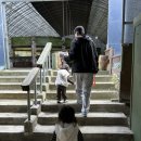 엄지농장 | 강릉동물원, 아이랑 가기 좋은 대관령아기동물농장 다녀온 후기!