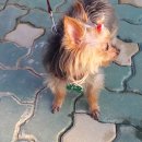 금비농장 이미지