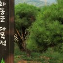 옥종다목적캠핑장 이미지