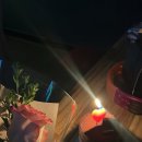 공룡노래연습장 이미지