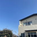 이디오랜 이미지