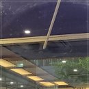 팔팔활어회팔팔물회 이미지