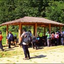 유전1리 이미지