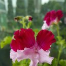 퍼팩션 - 용인시 수지구 수지로 497 | 퍼팩션