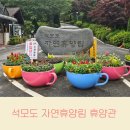 석모도 자연휴양림 휴양관 리모델링 4인실 103호 잣나무방 숙박 후기