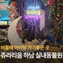 하남산단4, 3번로 | 쥬라리움 하남 실내동물원 동물종류,먹이주기 체험 솔직후기