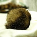 경희바른맥한의원 이미지