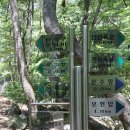 원진 | 2013.06.15 사진으로 보는 포항 내연산 폭포산행일기