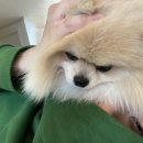 흥승