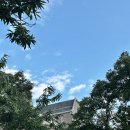 원조강릉교동반점 이미지