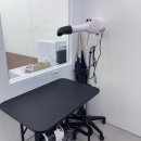 금촌애견 이미지