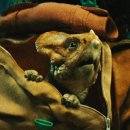 월드대박 | [영화 쥬라기월드 후기] CG, 스칼렛 대박… 돌로레스 귀여움 실화야?