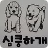 심쿵하개 애견미용 이미지