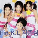 핑클 카카오 검색결과