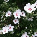 운호농장 이미지