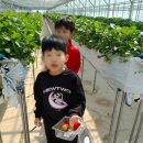 제철태권도 이미지