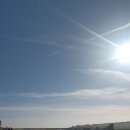 세븐피시 이미지