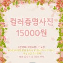 호록사진관 이미지