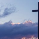 생명의 기쁨 이미지