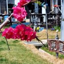 두엽농장 이미지