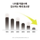 봄으로 | 식후 소화제 효소추천 효소봄으로 정착 (후기모음)
