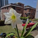 가람요양원 이미지