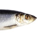 (주)전남사료 이미지