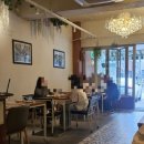 델쿠치나 이미지